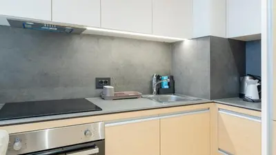 a kitchen with a sink and a counter top at Zepterme Harmony in Vrnjačka Banja