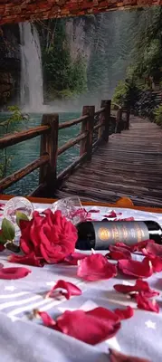a table with a bottle of wine and red roses at Oaza Mira Mozgovo in Mozgovo