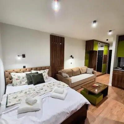 Apartman Mist C113 - Bela Reka