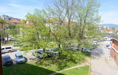 a tree with cars parked in a parking lot at Apartman Mandić in Vrnjačka Banja