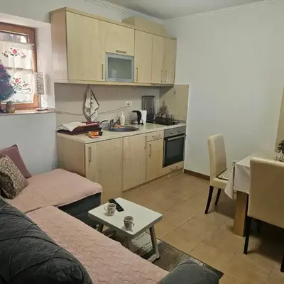 Apartman Vila Mir