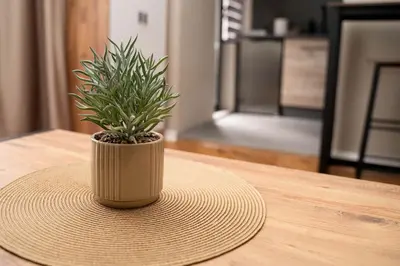 a potted plant sitting on top of a table at Millenium Apartments City Center in Niš