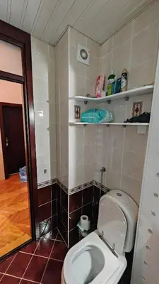 a bathroom with a white toilet in a room at Vila Gorica - Planinska kuca in Kopaonik