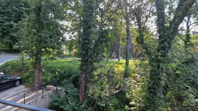 a view of a yard with trees and a car at DeLux apartman Eleni rooms in Vrnjačka Banja