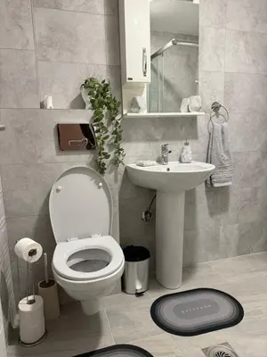 a small bathroom with a toilet and a sink at Apartman Banjac in Vrnjačka Banja