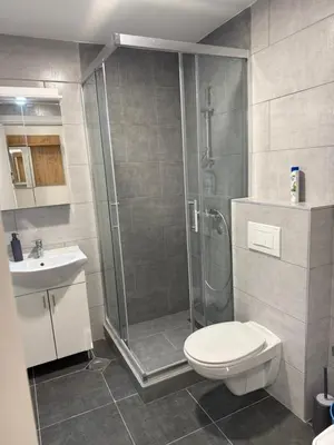 a bathroom with a shower and a toilet and a sink at Apartment Sunny in Niš