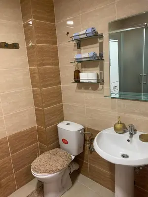 a bathroom with a toilet and a sink at City Comfort Apartment in Vranje