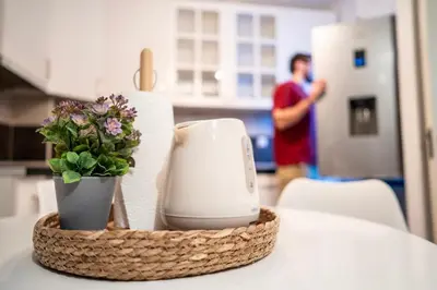 a table with a hair dryer and a plant on it at NAR Royalton Apartment #27 Free Parking in Niš