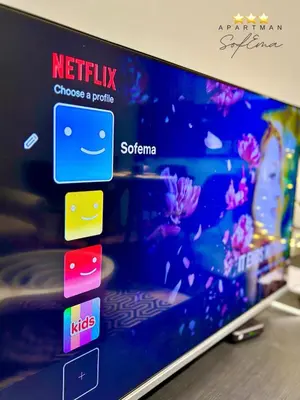 a laptop screen with the netflix app on it at Sofema in Pirot