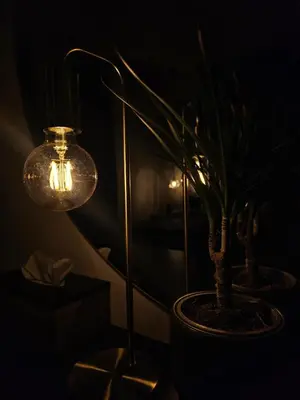 a lamp in a dark room with a potted plant at Riviera Suite in Niš