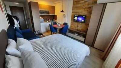 a bedroom with a bed and a table and a tv at Blistava Dolina S42 in Kopaonik