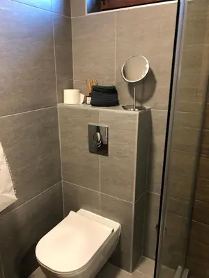 a bathroom with a toilet and a mirror at Apartman Stemaks, Kopaonik in Kopaonik