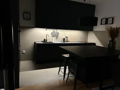 a kitchen with black cabinets and a black counter top at Tokyo88 Apartment in Niš