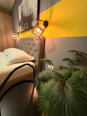 a bedroom with a bed and a potted plant at NAR Royalton Apartment #76 Free Parking in Niš
