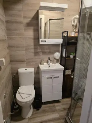 a bathroom with a toilet and a sink and a mirror at Prime NG Mujen lux & spa in Cajetina