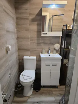 a bathroom with a toilet and a sink and a mirror at Prime NG Mujen lux & spa in Cajetina