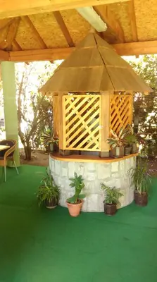 a pavilion with potted plants on a green floor at Bed & Breakfast Karavan in Raška