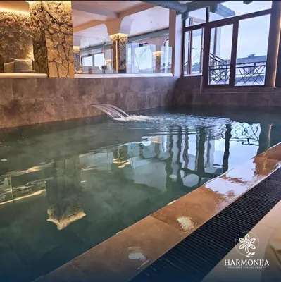 a pool of water in a house at DZAT apartman, Harmonija Hotel in Kopaonik