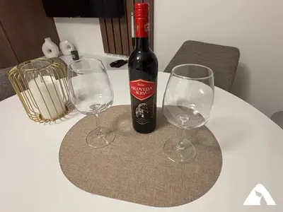 Gallery image of Apartman Victory in Kopaonik