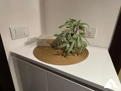a plant sitting on top of a dresser at Apartman Herkul in Kopaonik