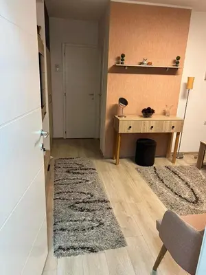 a living room with a desk and a rug at Stan u centru grada in Niš