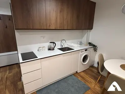 a kitchen with a sink and a washing machine at Apartman Anči in Kopaonik