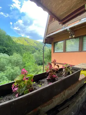 Gallery image of Apartmani Stajko in Crni Vrh