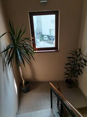 a hallway with two potted plants and a window at Apartman Besu in Vrnjačka Banja