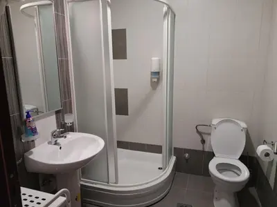 a bathroom with a shower and a toilet and a sink at Apartman Besu in Vrnjačka Banja