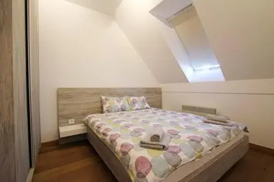 a bedroom with a large bed with a skylight at Nevena and Spa apartmans in Bukorovac