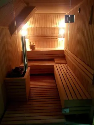 a sauna with a tv in the middle of it at Nevena and Spa apartmans in Bukorovac