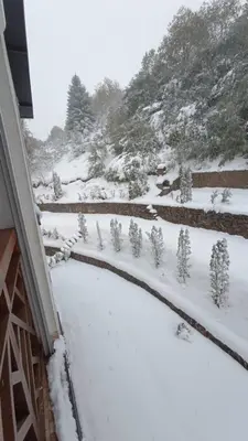 a snow covered yard with trees and a mountain at Apartman Foka Spa in Brzeće