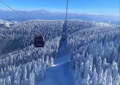 a ski lift flying over a forest of trees at Apartman Foka Spa in Brzeće
