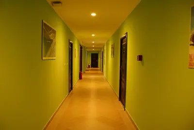 an empty hallway with green walls and a long hallway sidx sidx at Apartman Foka Spa in Brzeće