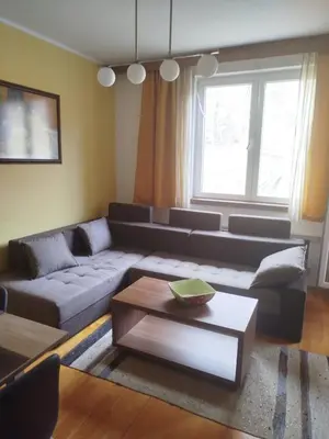 a living room with a couch and a coffee table at Apartman Foka Spa in Brzeće