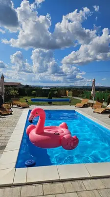 a pool with two pink flamingos in the water at Vila Belgijska pruga in Zaječar
