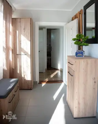 a kitchen with a plant on top of a wooden cabinet at Vila Belgijska pruga in Zaječar
