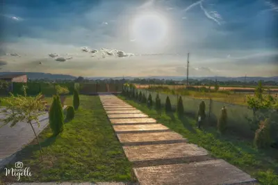 a path in a field with a row of trees at Vila Belgijska pruga in Zaječar