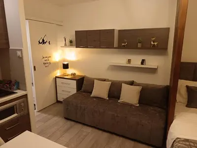 a living room with a couch and a kitchen at Omorika Brzeće in Brzeće