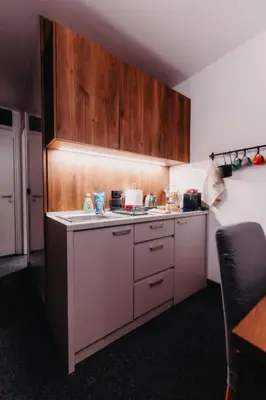 a kitchen with a stove and wooden cabinets at Sonja apartman Vila Bela reka Brzeće Kopaonik in Brzeće