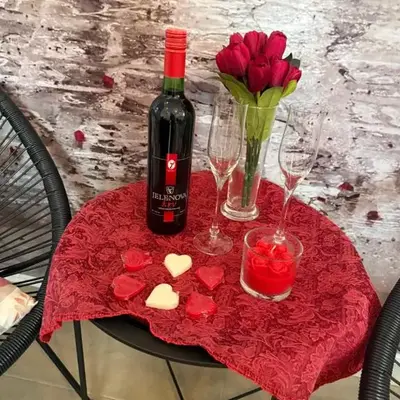 Apartman Petra Sokobanja
