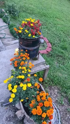a bunch of flowers in a pot in a garden at Vila Nina - gde duša diše in Niška Banja