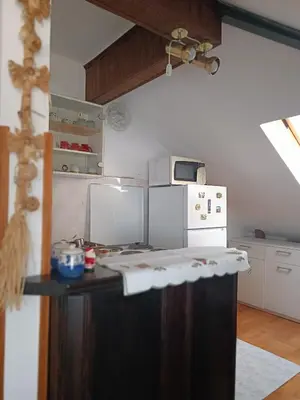 a kitchen with a counter top and a refrigerator at Apartman Paunov Breg in Vrnjačka Banja