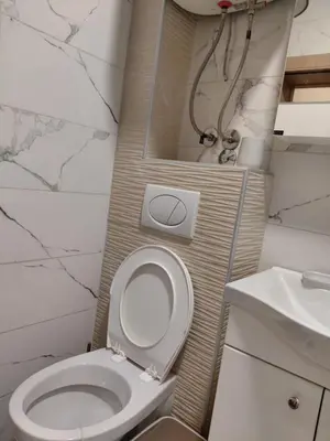 a bathroom with a white toilet and a sink at Warm nest in Kraljevo