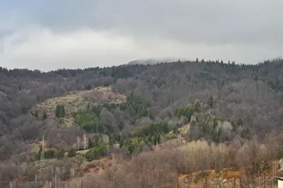 a view of a hill with trees on it at K8 Milmari in Kopaonik