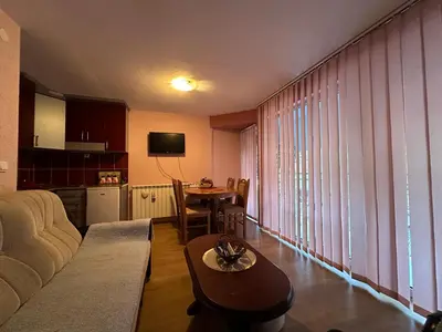 a living room with a couch and a table at Urban Apartmens 5 in Jošanička Banja