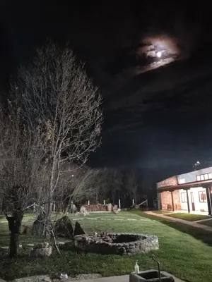 a night time view of a building and a tree at Apartman 