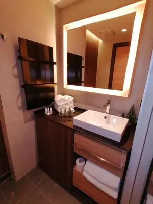 a bathroom with a sink and a mirror at Woodside 323 Kopaonik011 in Kopaonik