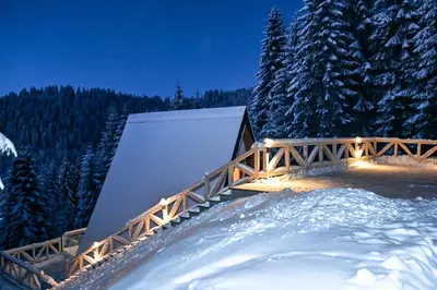 a wooden bridge in the snow with lights on it at Tara mountain house Kopaonik in Kopaonik