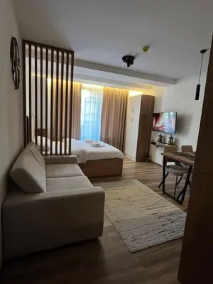 a bedroom with a bed and a couch and a desk at E&E Apartman in Kopaonik